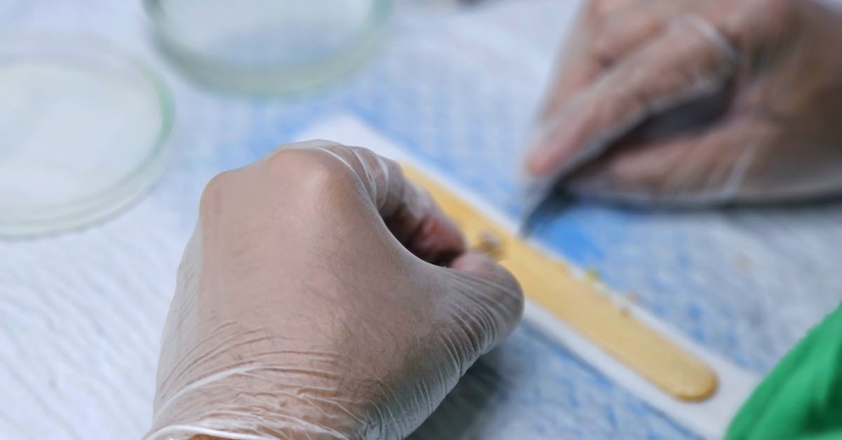 découvrez notre traitement du cuir chevelu, conçu pour apaiser et revitaliser la peau. profitez d'une formule nourrissante qui aide à réduire les irritations, à stimuler la circulation sanguine et à favoriser la santé de vos cheveux. offrez à votre cuir chevelu l'attention qu'il mérite.